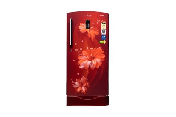 195 L Direct Cool Refrigerator 5 Star Daisy Wine